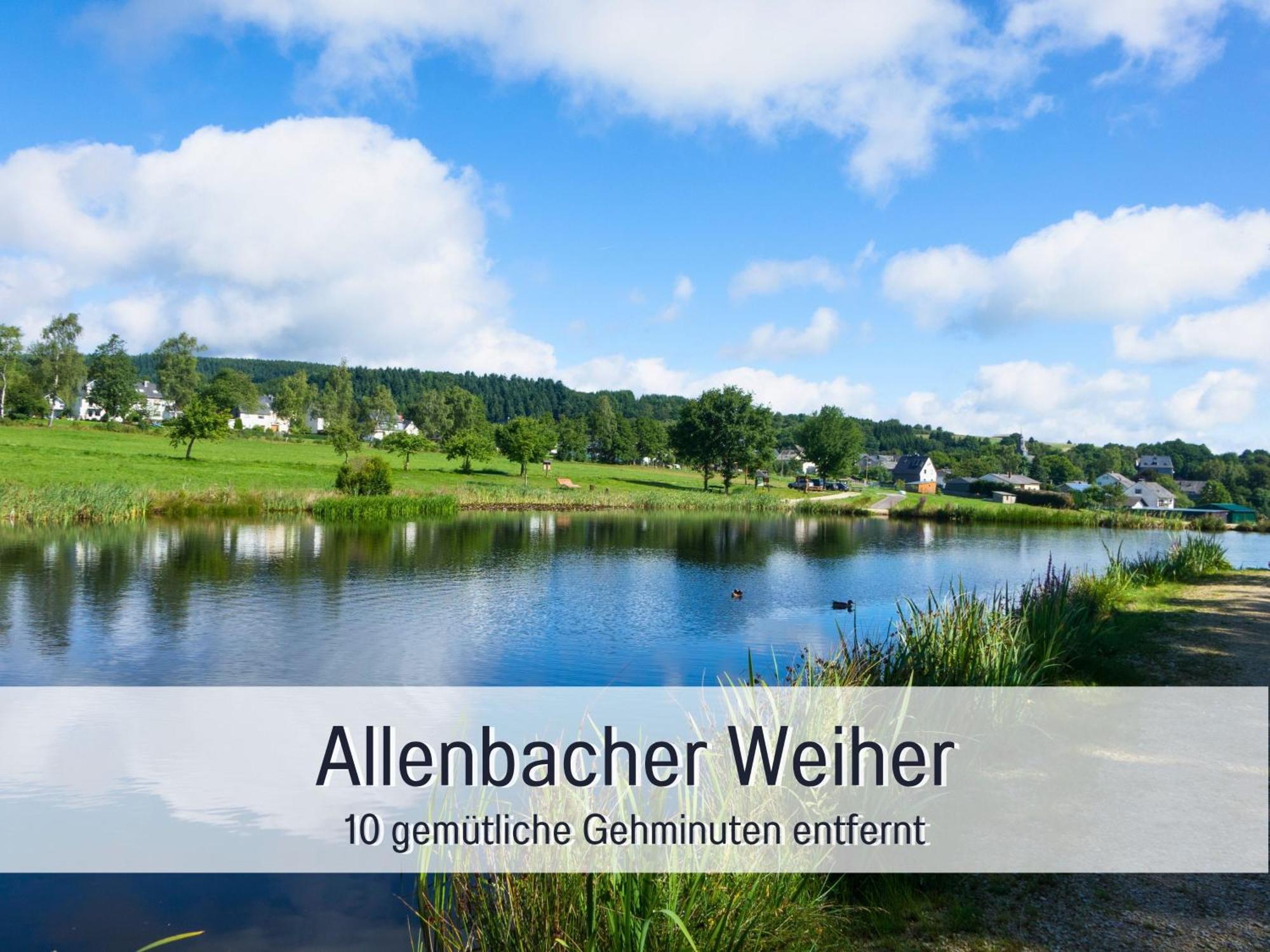 Natur-Chalet Zum Nationalpark Marie-Luise Inkl E-Auto Allenbach Zewnętrze zdjęcie