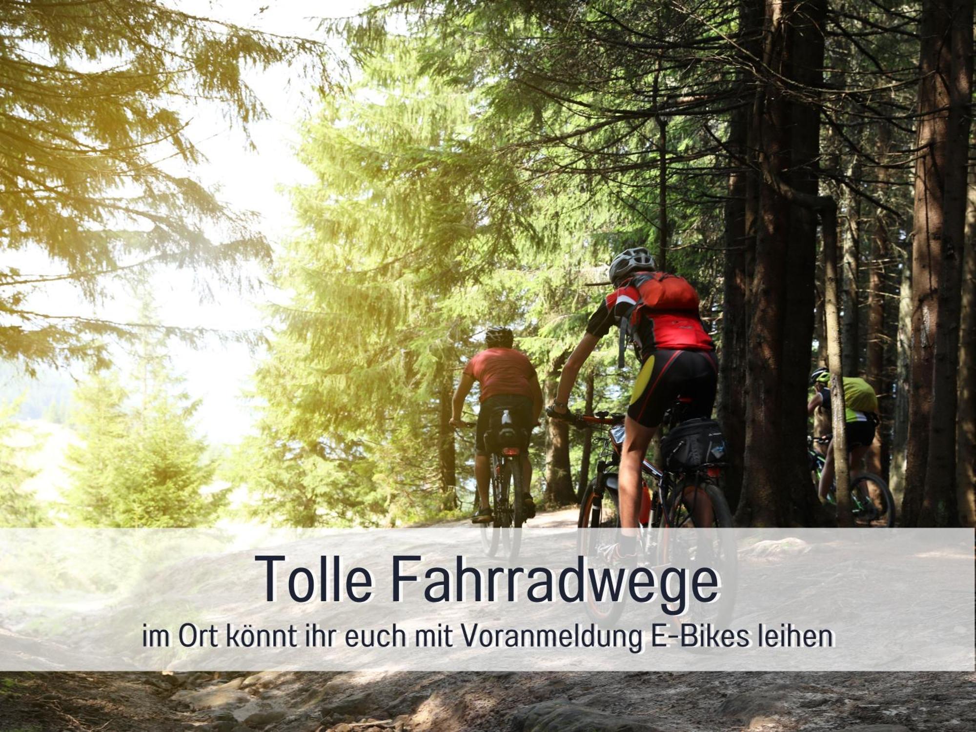 Natur-Chalet Zum Nationalpark Marie-Luise Inkl E-Auto Allenbach Zewnętrze zdjęcie