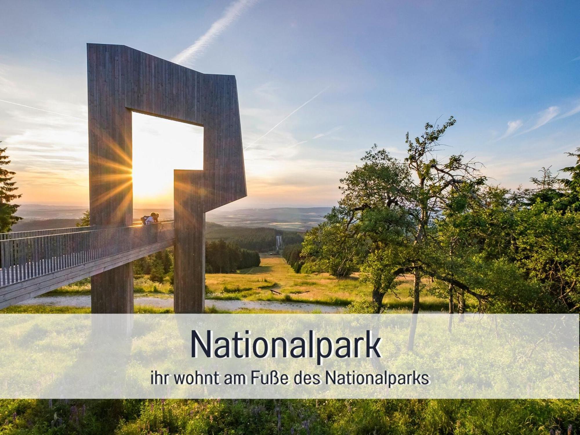 Natur-Chalet Zum Nationalpark Marie-Luise Inkl E-Auto Allenbach Zewnętrze zdjęcie